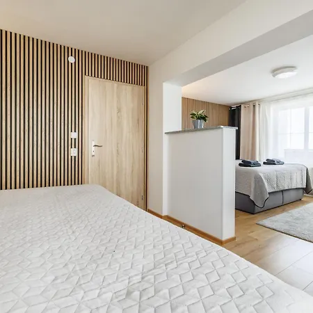 Airport Luxury & Apartment *